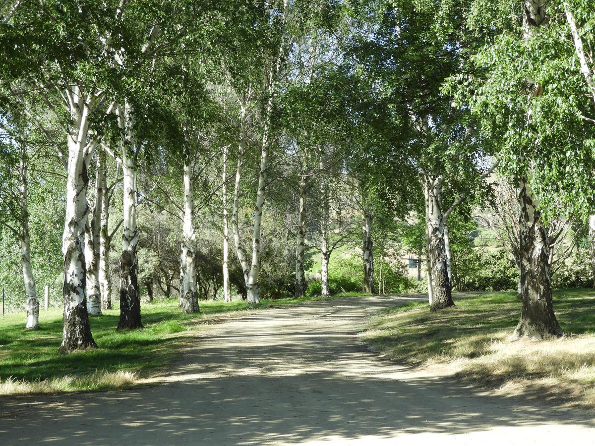 O Naturel Vineyard Stay Cromwell Buitenkant foto